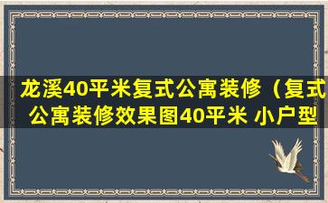 龙溪40平米复式公寓装修（复式公寓装修效果图40平米 小户型多少钱）